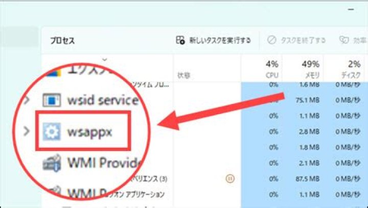 Windows 11 WSAPPX