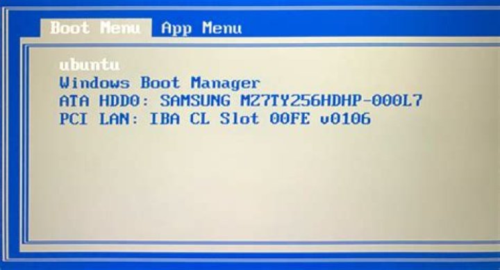 Windows bootloader bug