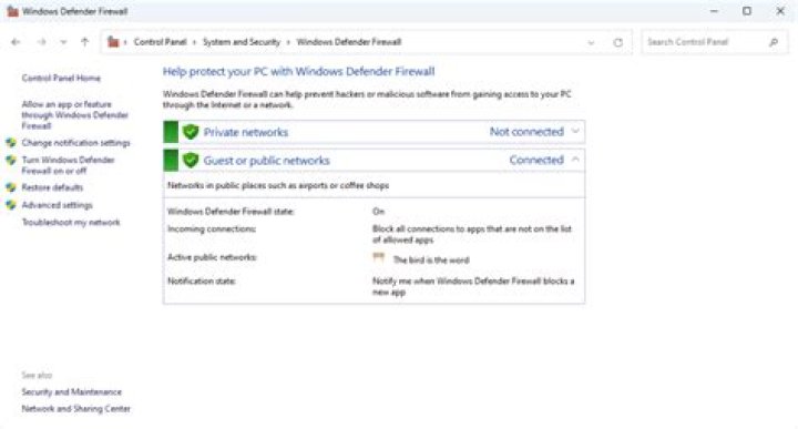 windows defender firewall control panel fix epic privacy browser assertion problem